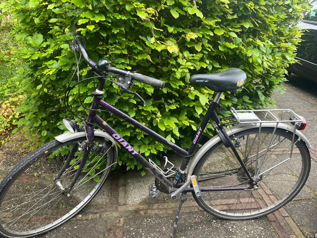 Giant damesfiets (onderhoud nodig), Fietsen en Brommers, Ophalen, Gebruikt, Minder dan 10 versnellingen, Giant