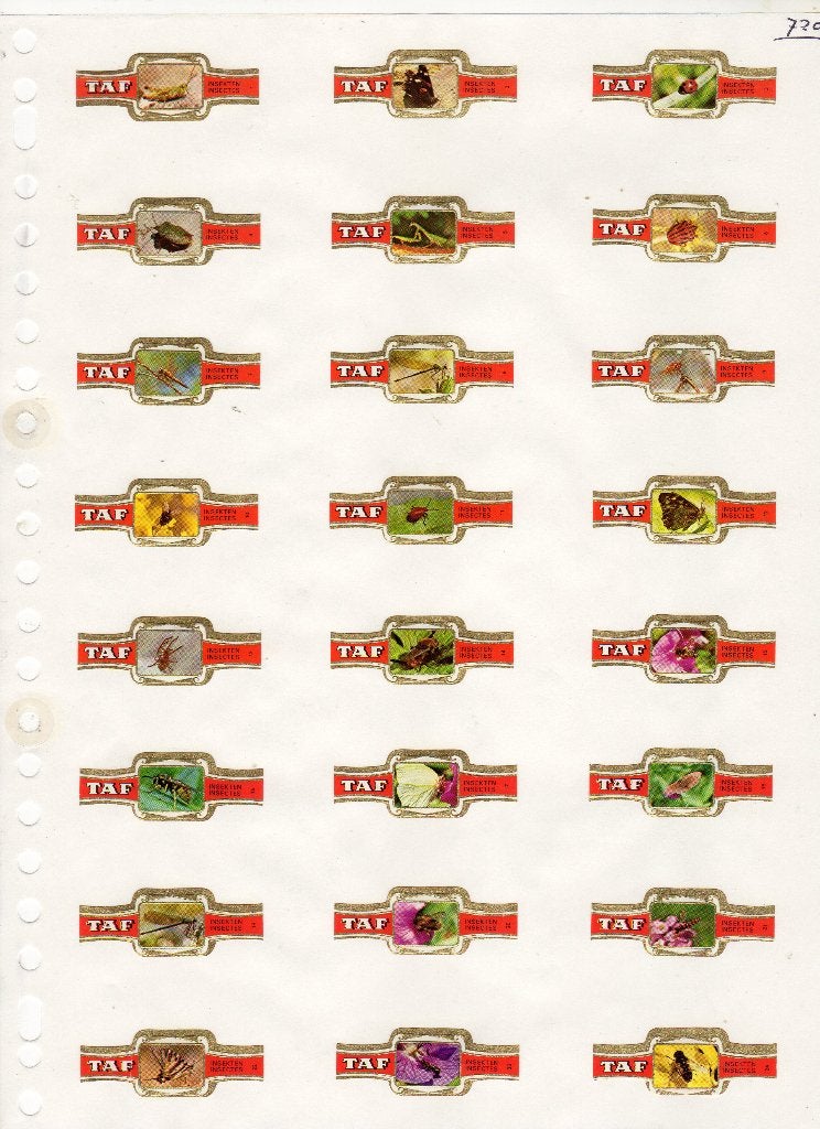 TAF  M.M.  KF  Insecten, Ophalen of Verzenden, Zo goed als nieuw, Sigarenbandjes