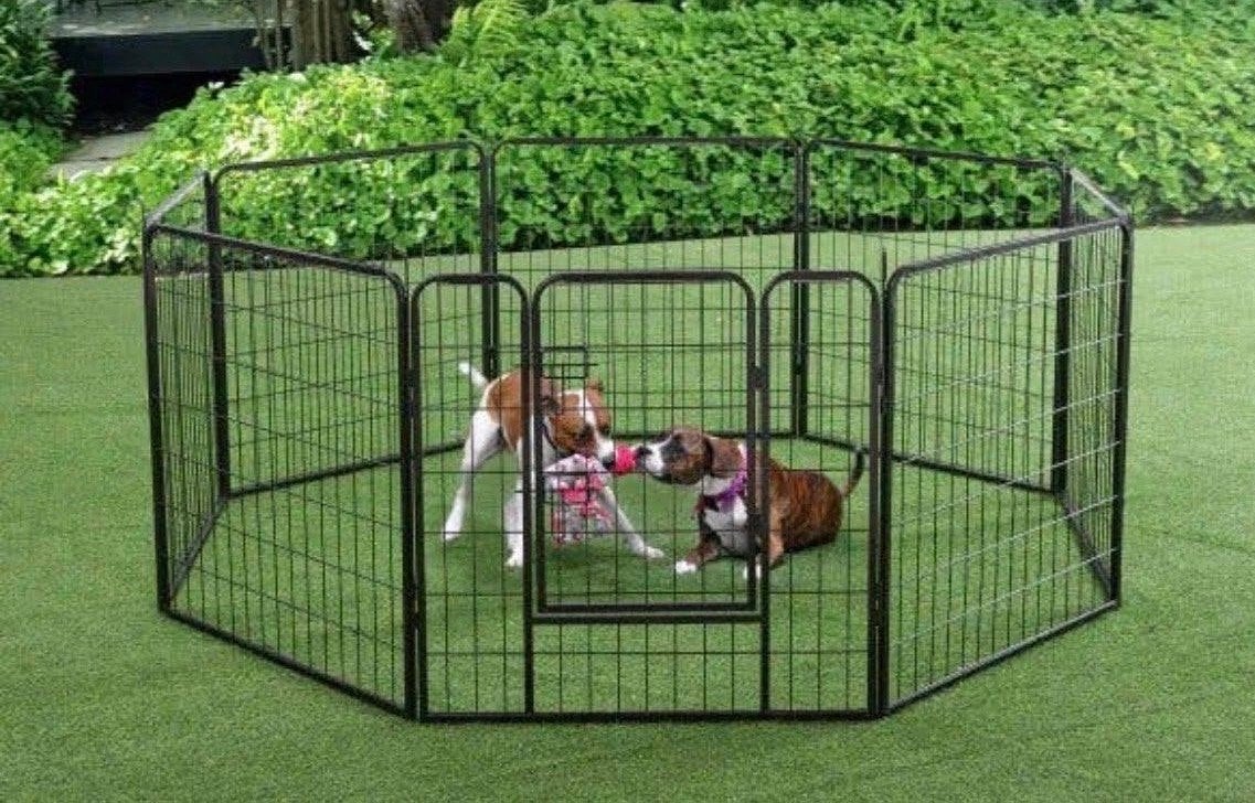 Honden ren nieuw in doos, Ophalen, ?, ?, ?
