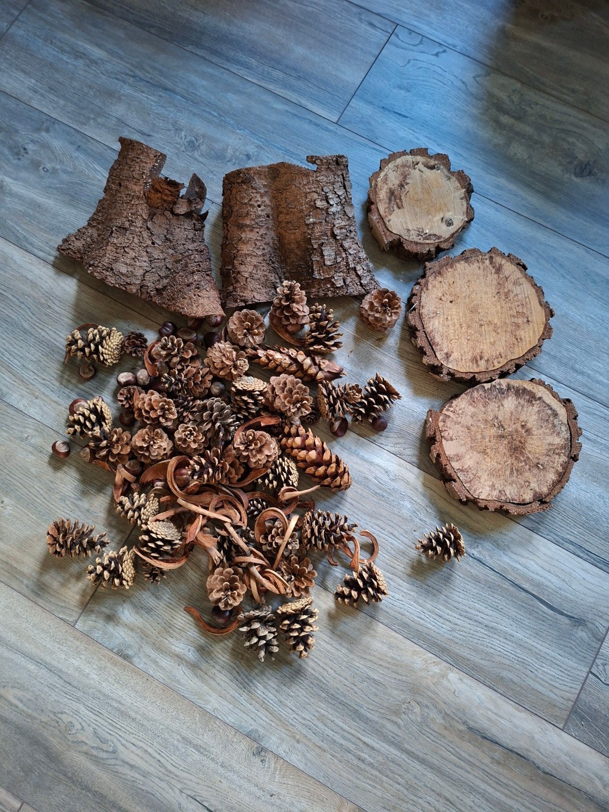 Herfst Decoratie Dennenappels, Boomschors, Berken Schijv, Gebruikt, Ophalen of Verzenden, Landelijk, Natuurlijk materiaal