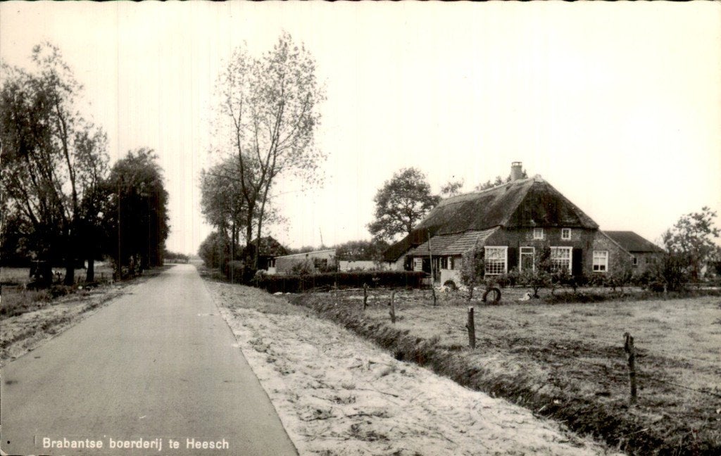 Heesch - Boerderij - Brabantse boerderij, Ophalen of Verzenden, 1940 tot 1960, Ongelopen, Noord-Brabant