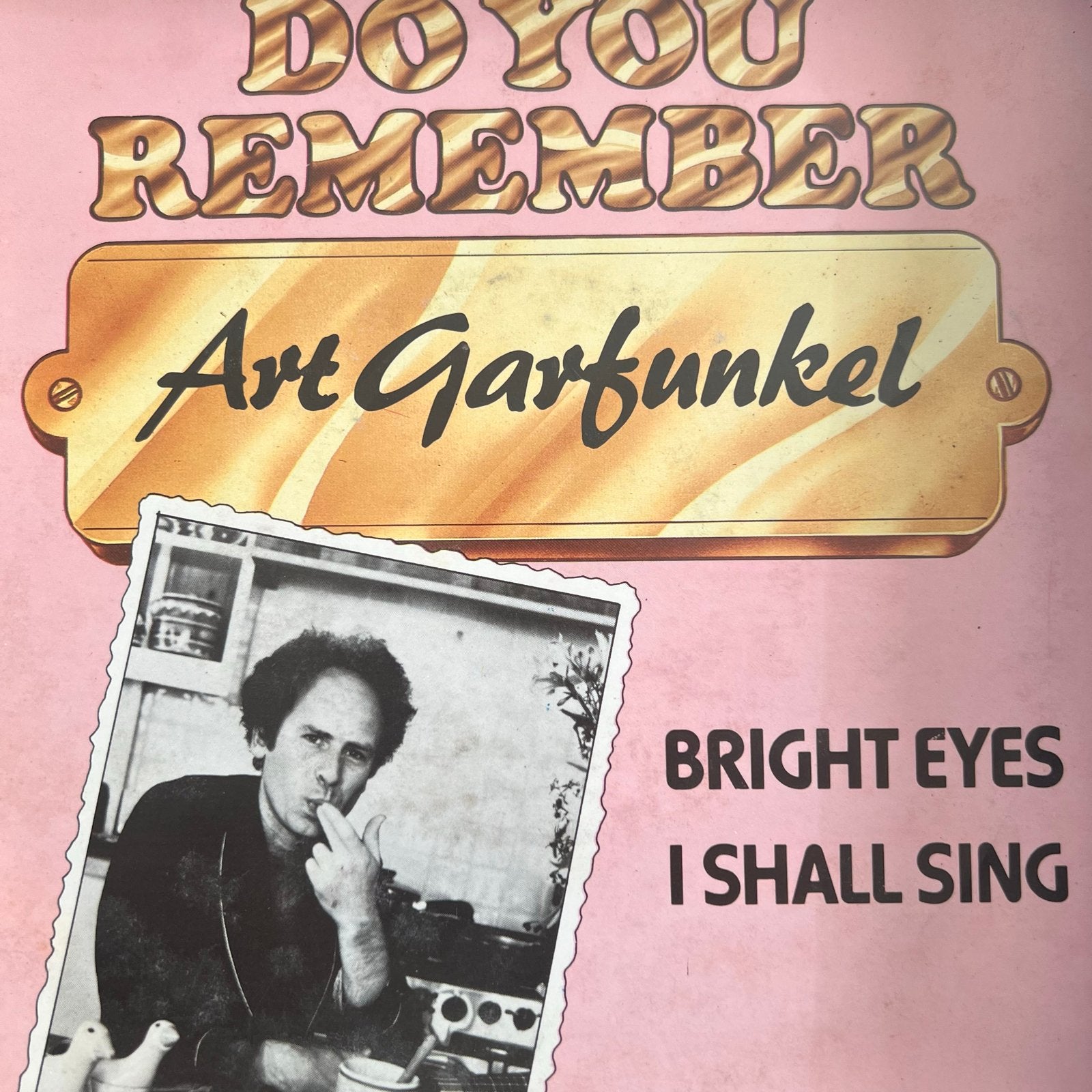 Art Garfunkel - Bright Eyes / I Shall Sing, Ophalen of Verzenden, Gebruikt, 7 inch, Pop