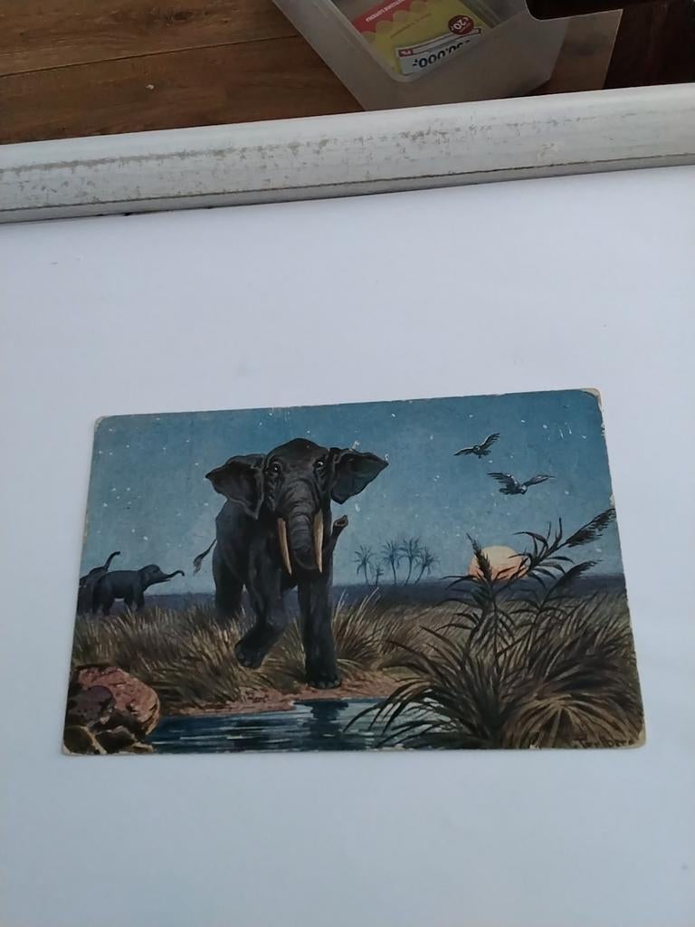 AZIATISCHE OLIFANT. 1906, Ophalen of Verzenden, Voor 1920, Overige thema's