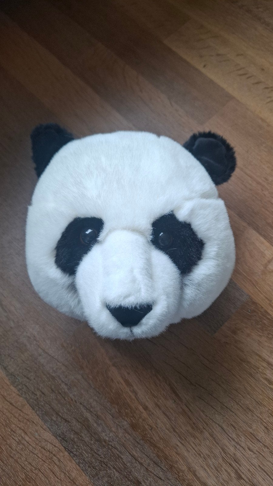 Panda knuffelkop voor aan de muur als wanddecoratie, Ophalen of Verzenden, Zo goed als nieuw, Meerkleurig