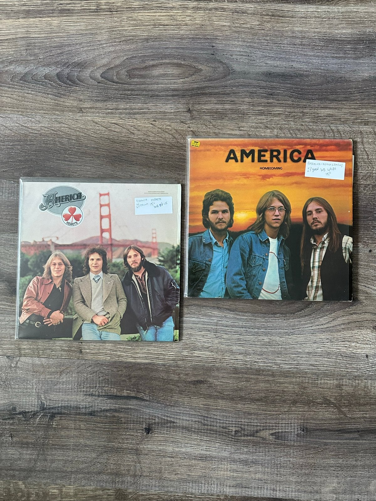 2x LP America: Hearts & Homecoming - Pop/Rock Vinyl, Cd's en Dvd's, LP, Gebruikt, Pop, Ophalen of Verzenden