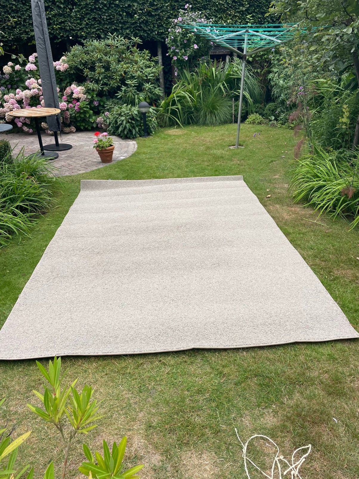 Vloerkleed (Desso) 210 cm x 310 cm, Ophalen, Gebruikt, 5 tot 10 m², Tapijt
