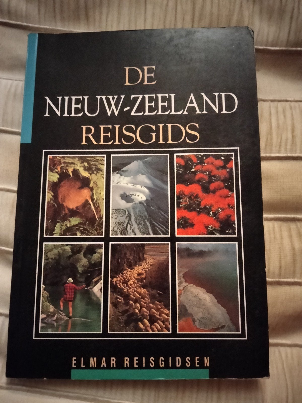 E.B. Booz - De Nieuw-Zeeland reisgids, Europa, Ophalen of Verzenden, Zo goed als nieuw, Reisgids of -boek