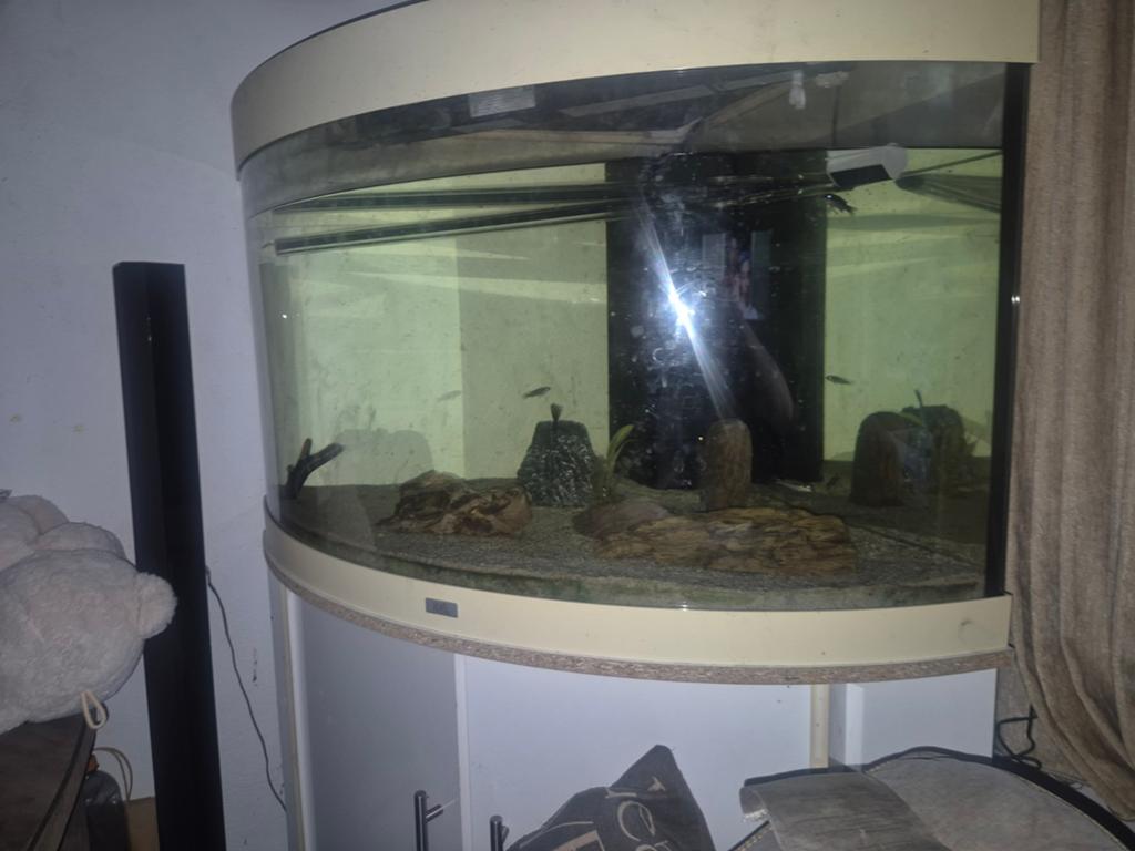 Groot hoek aqarium, Gebruikt, ., Ophalen of Verzenden, Leeg aquarium