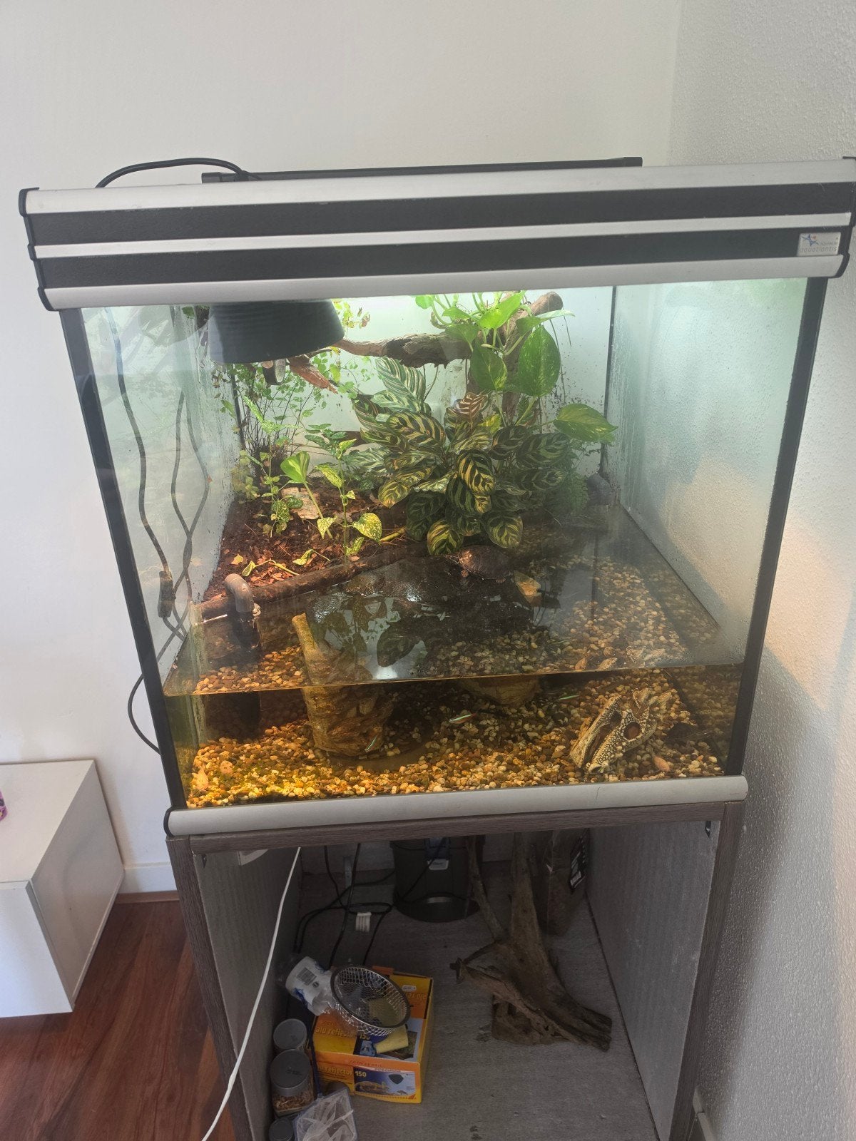 paludarium, Dieren en Toebehoren, Ophalen, Zo goed als nieuw