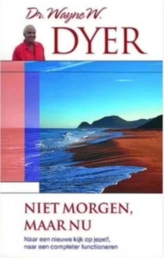 Niet morgen, maar NU (Dr Wayne W Dyer), Ophalen of Verzenden, Zo goed als nieuw, Ontwikkelingspsychologie