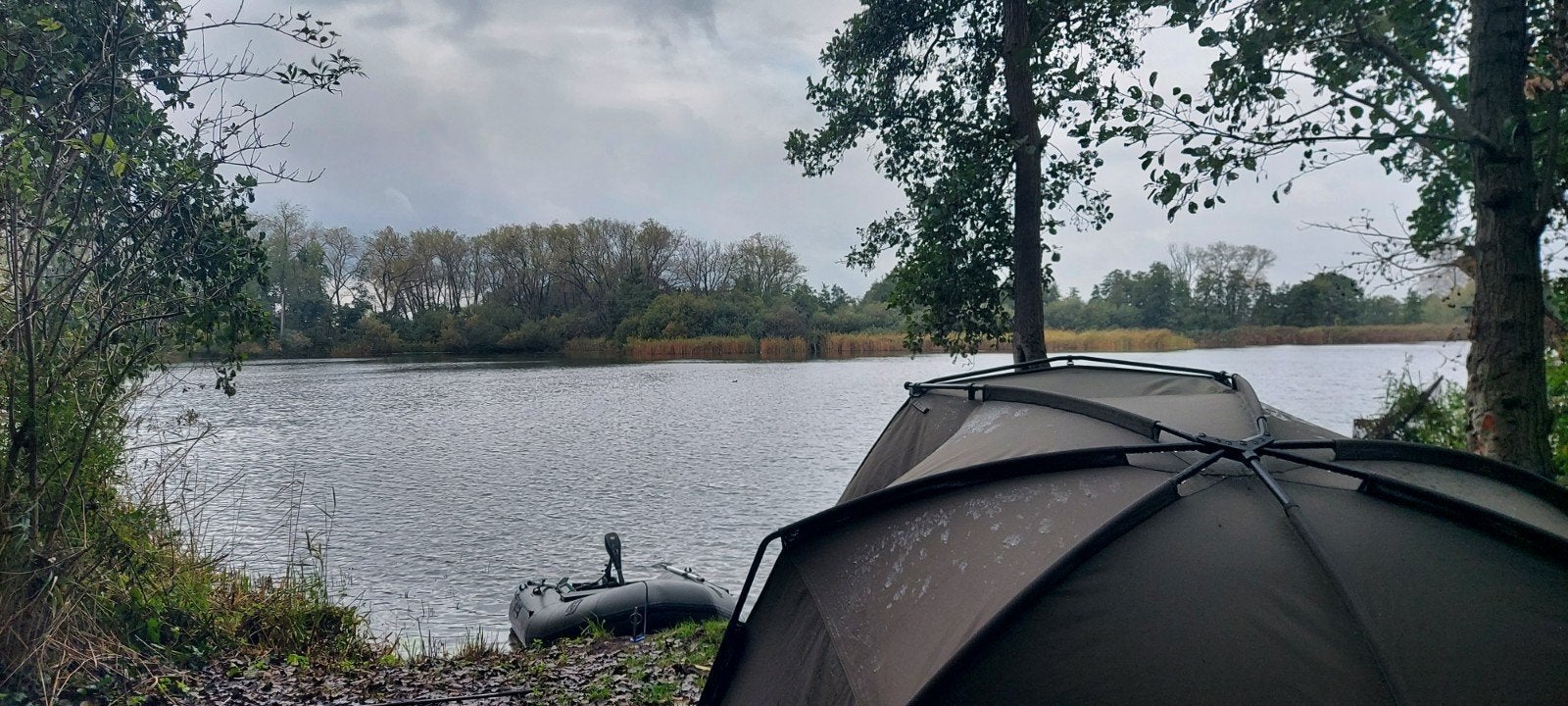 Nash Titan T1 MK2 Bivvy - Perfect voor karpervissen, Ophalen of Verzenden