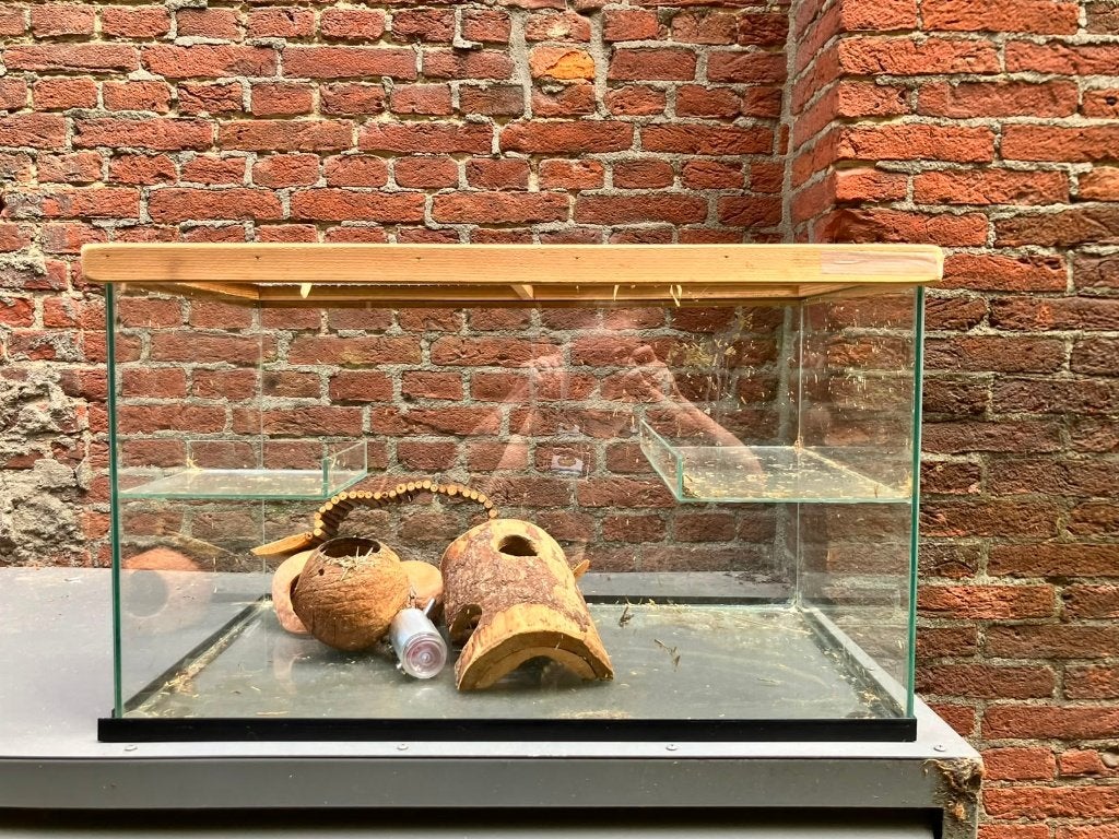 Muizenbak/terrarium, Ophalen, Gebruikt, Terrarium of Paludarium