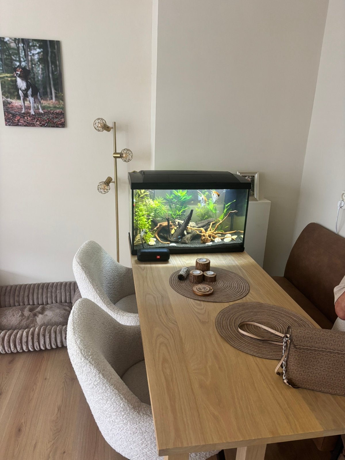 90 liter aquarium + alle toebehoren, Ophalen