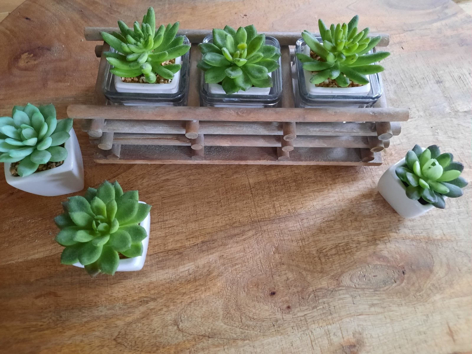 Set van 5 kunstplantjes - vetplantjes, Binnen, Groen, Kunstplant, Ophalen of Verzenden