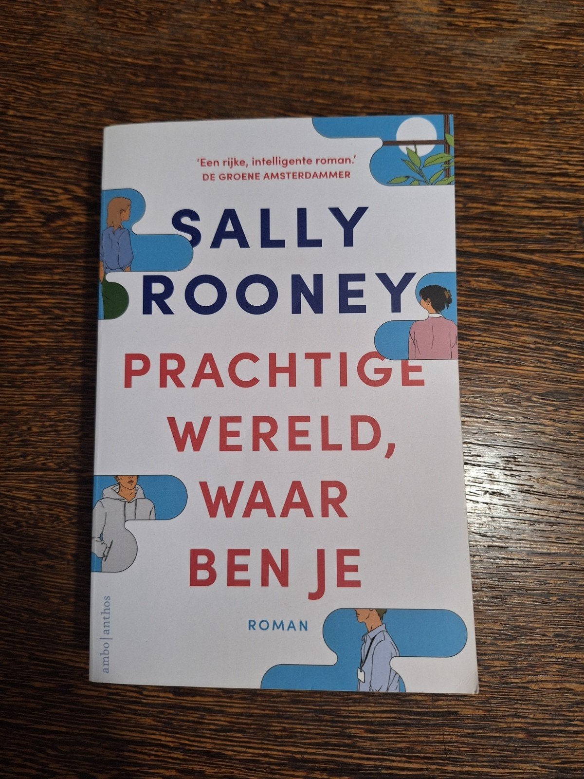 Sally Rooney - Prachtige wereld, waar ben je, Ophalen of Verzenden, Gelezen, Sally Rooney