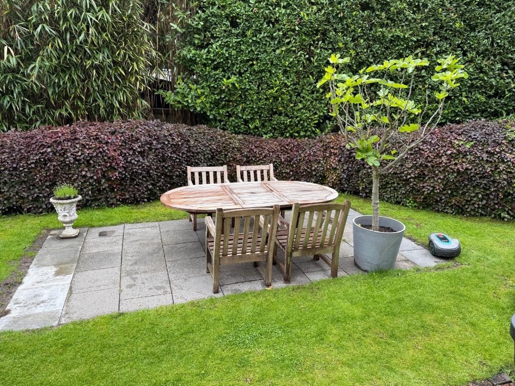 Royal Botanica teak tuintafelset, Tuin en Terras, Ophalen, Gebruikt, Ovaal, Teakhout