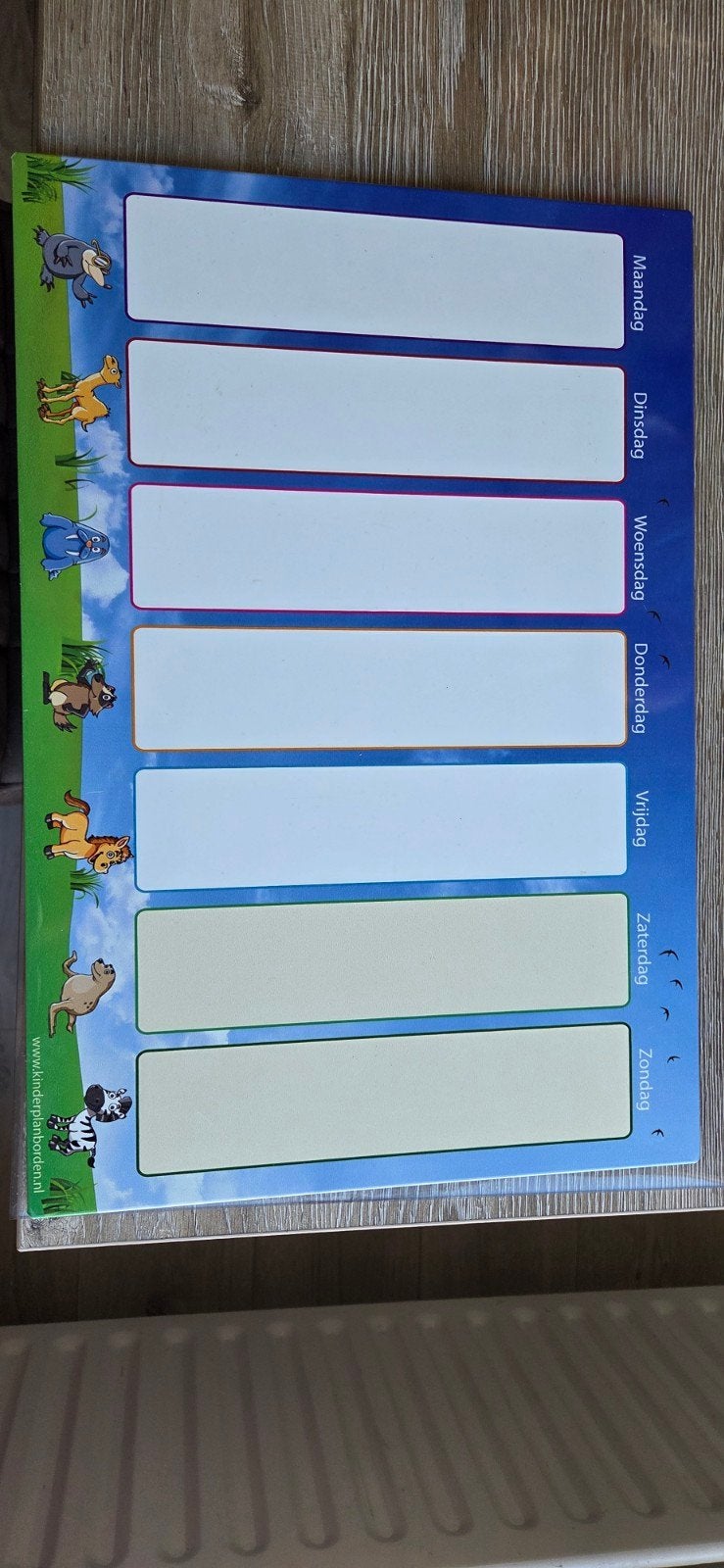 Planbord met Pictogrammen, Ophalen of Verzenden, Zo goed als nieuw, Magneetbord
