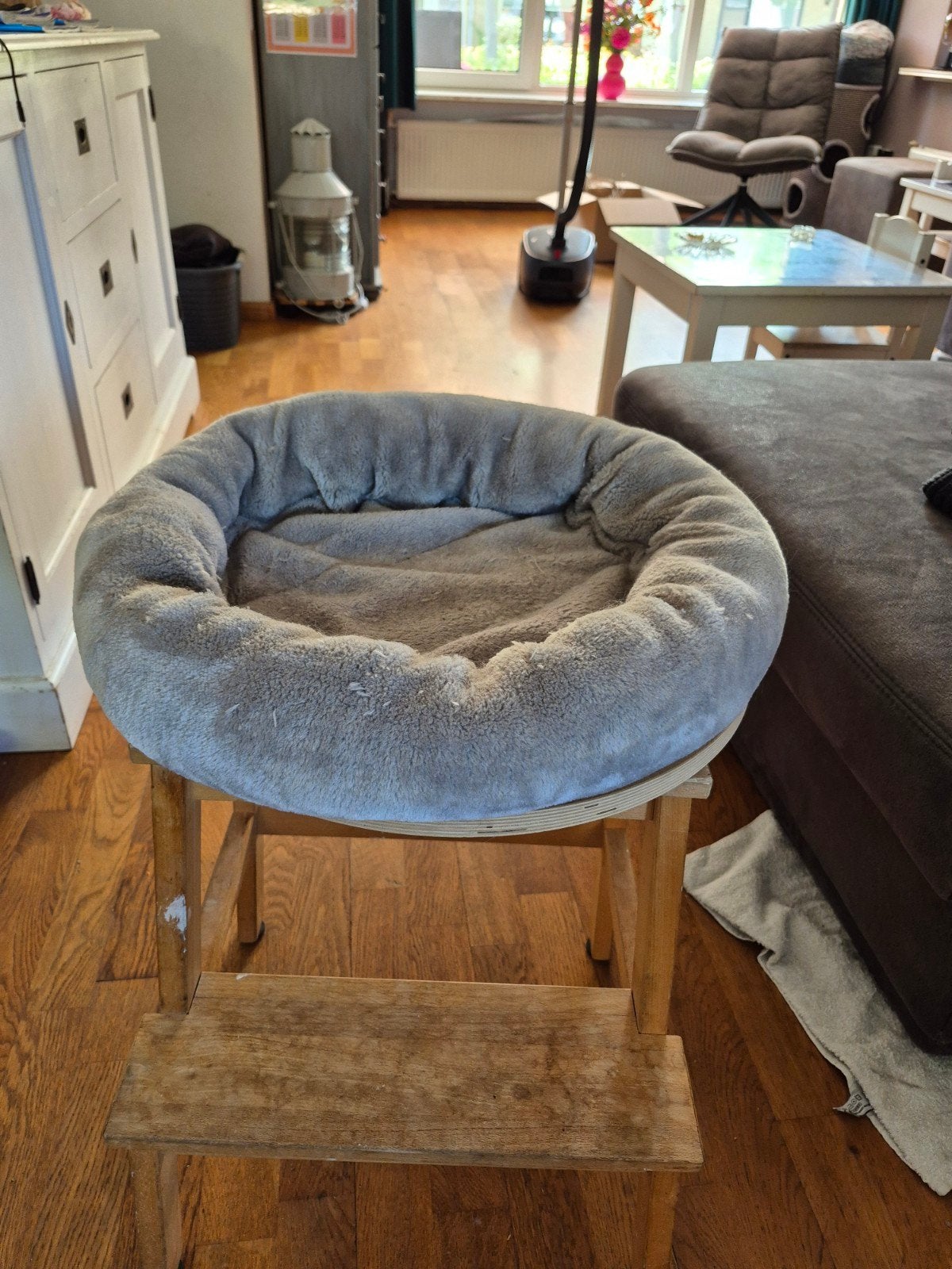 Katten wandbed, Dieren en Toebehoren, Katten-accessoires, Ophalen of Verzenden, Zo goed als nieuw