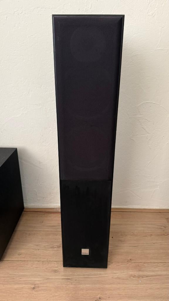 Dali Speakerset - Spektor 6 - Spektor Vokal - Spektor 1