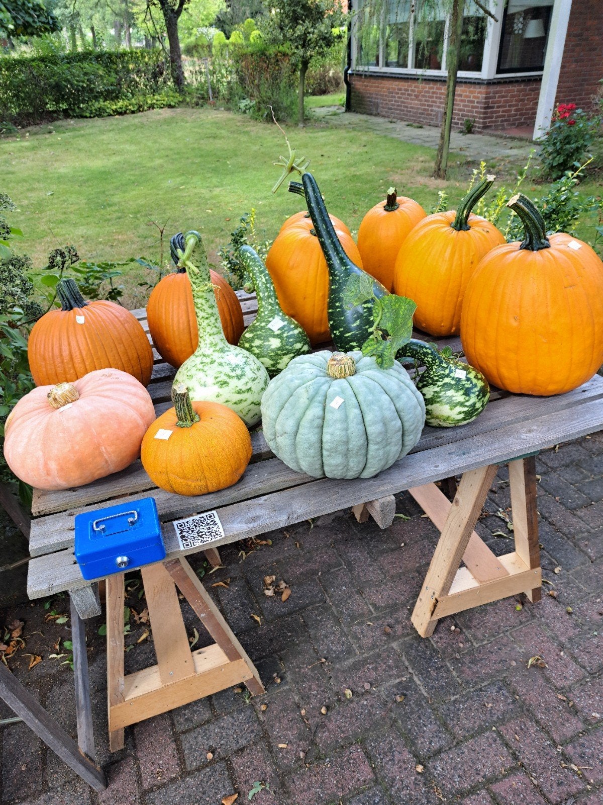 pompoenen en kalebassen, Ophalen, Nieuw