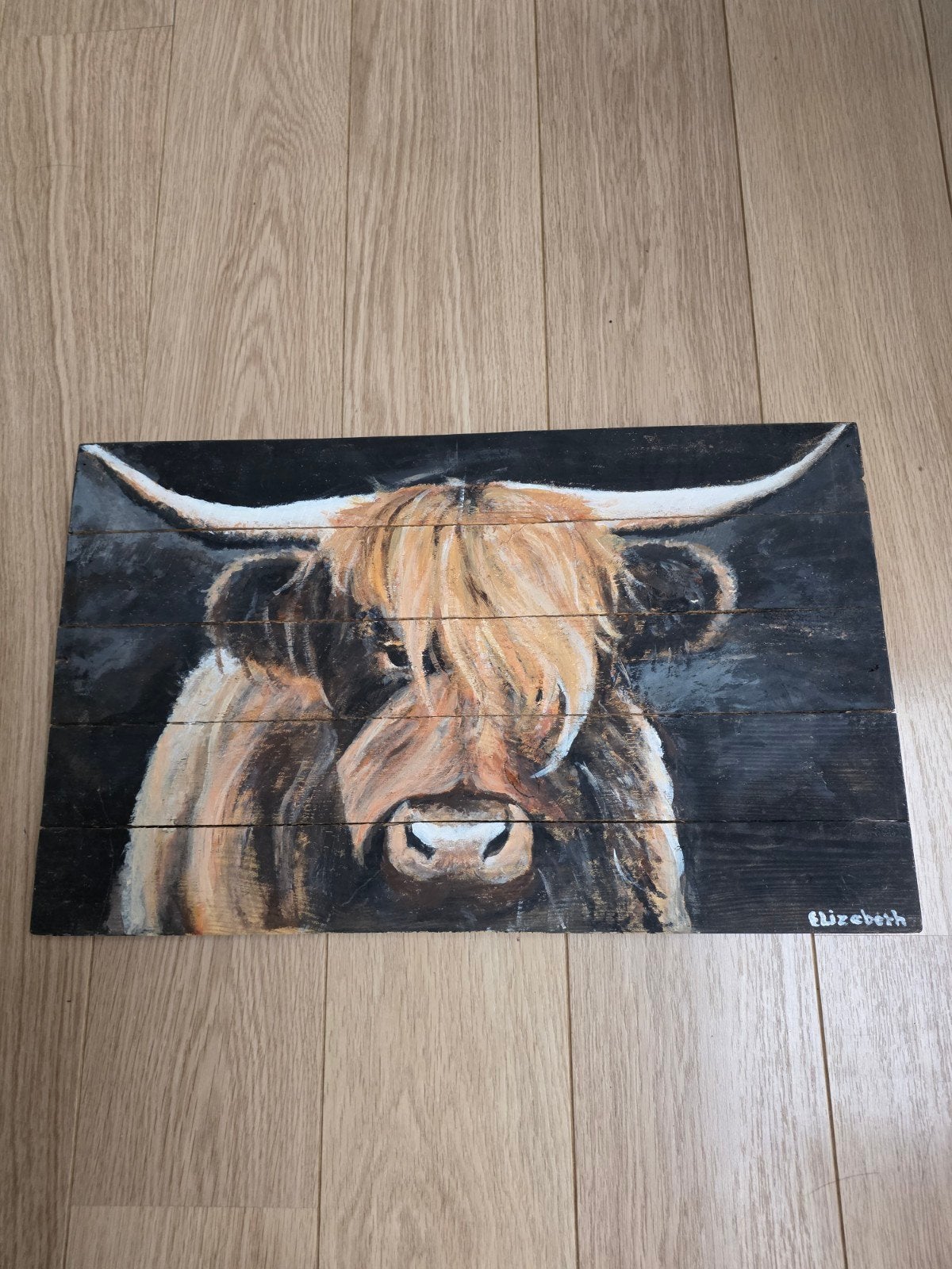 Hooglander schilderij, Ophalen of Verzenden, Zo goed als nieuw, 50 tot 75 cm, Schilderij