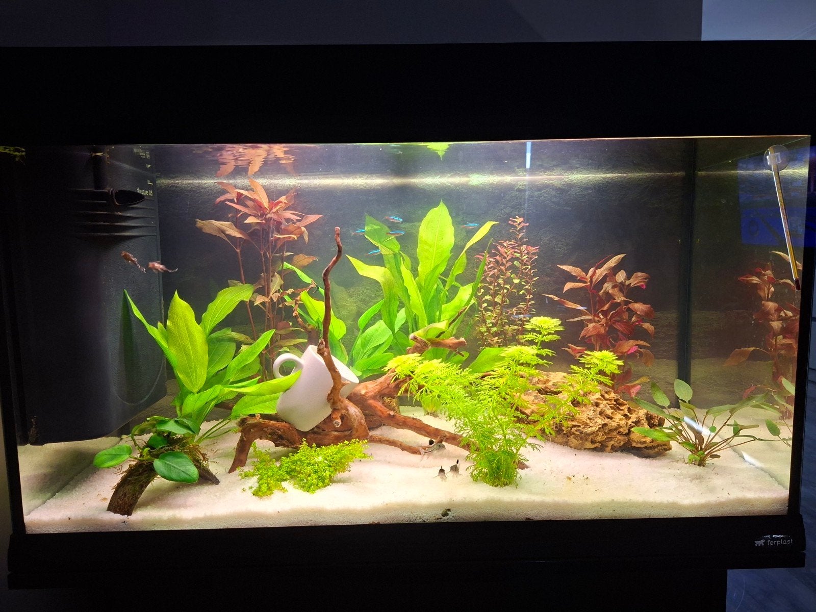 Aquarium, Ophalen, Zo goed als nieuw, Leeg aquarium, Overige merken