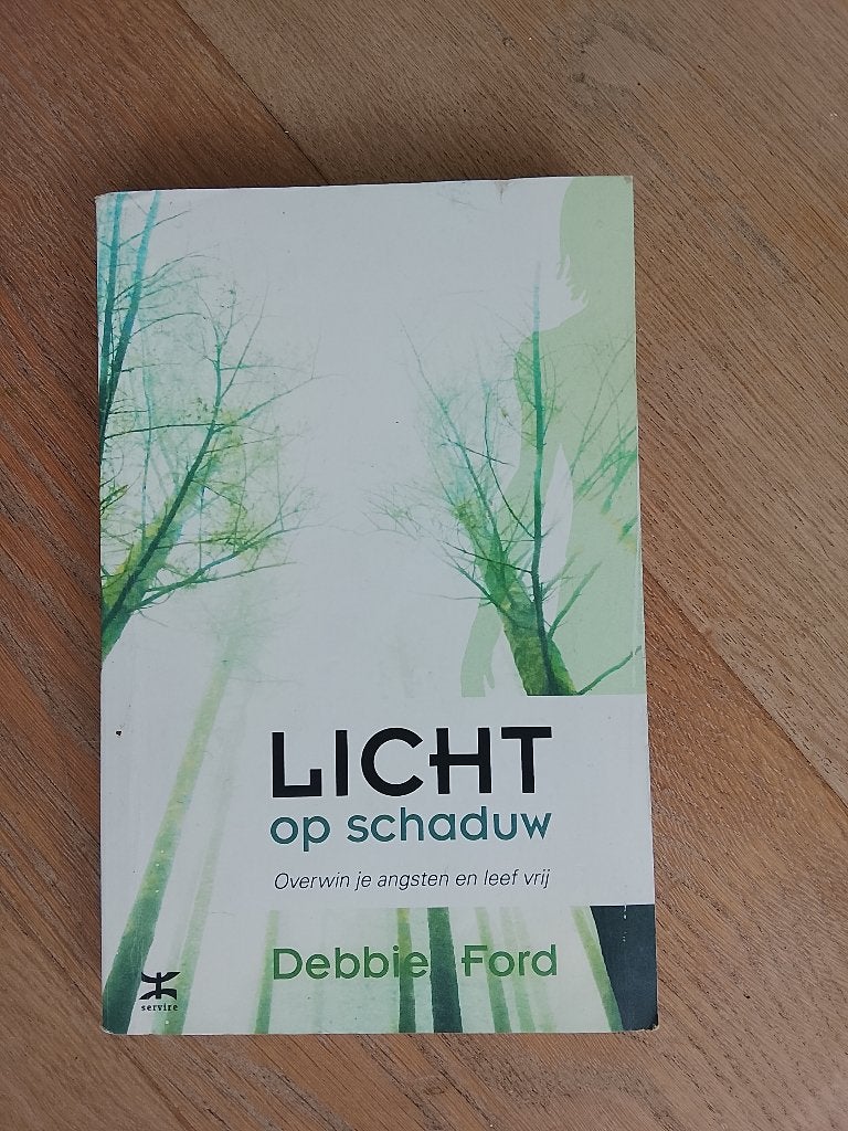 Boek debbie ford licht op de schaduw, Ophalen of Verzenden, Gelezen, Ontwikkelingspsychologie