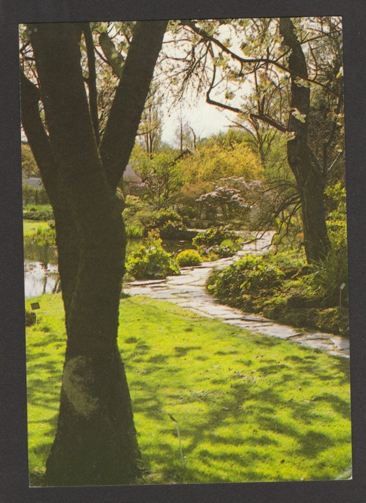 Leiden - Hortus Botanicus, Ophalen of Verzenden, 1980 tot heden, Ongelopen, Zuid-Holland