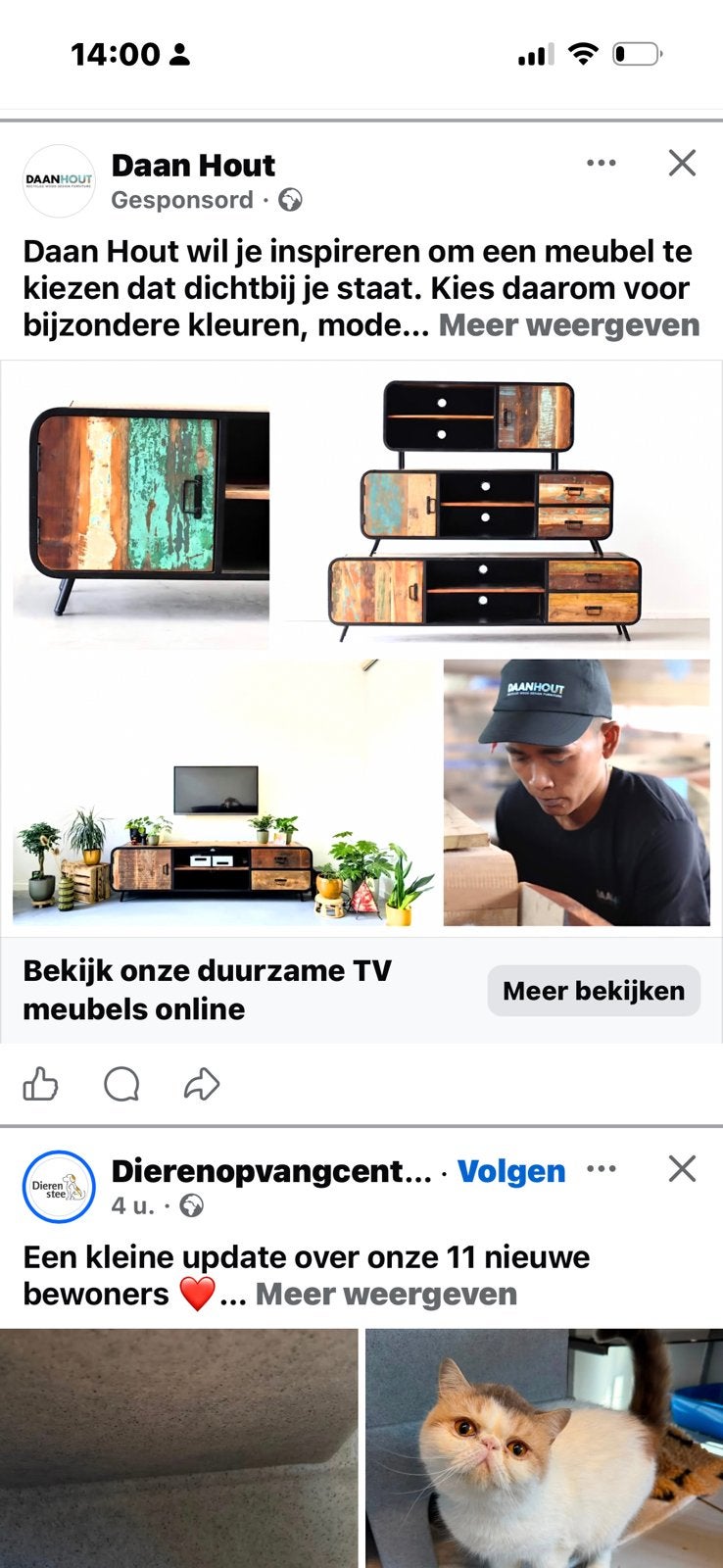 Daan Hout duurzame kast en tv meubel, Ophalen