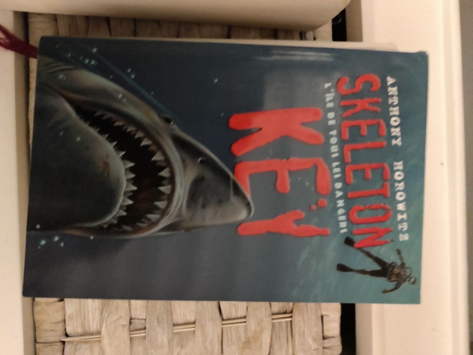 Skeleton Key - Anthony Horowitz (Jeugdboek), Ophalen of Verzenden