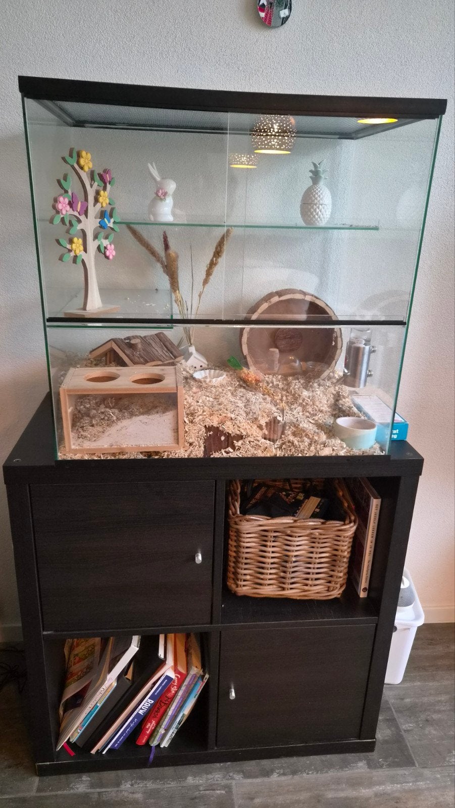 gerbilarium, Kooi, Minder dan 75 cm, Zo goed als nieuw, Ophalen