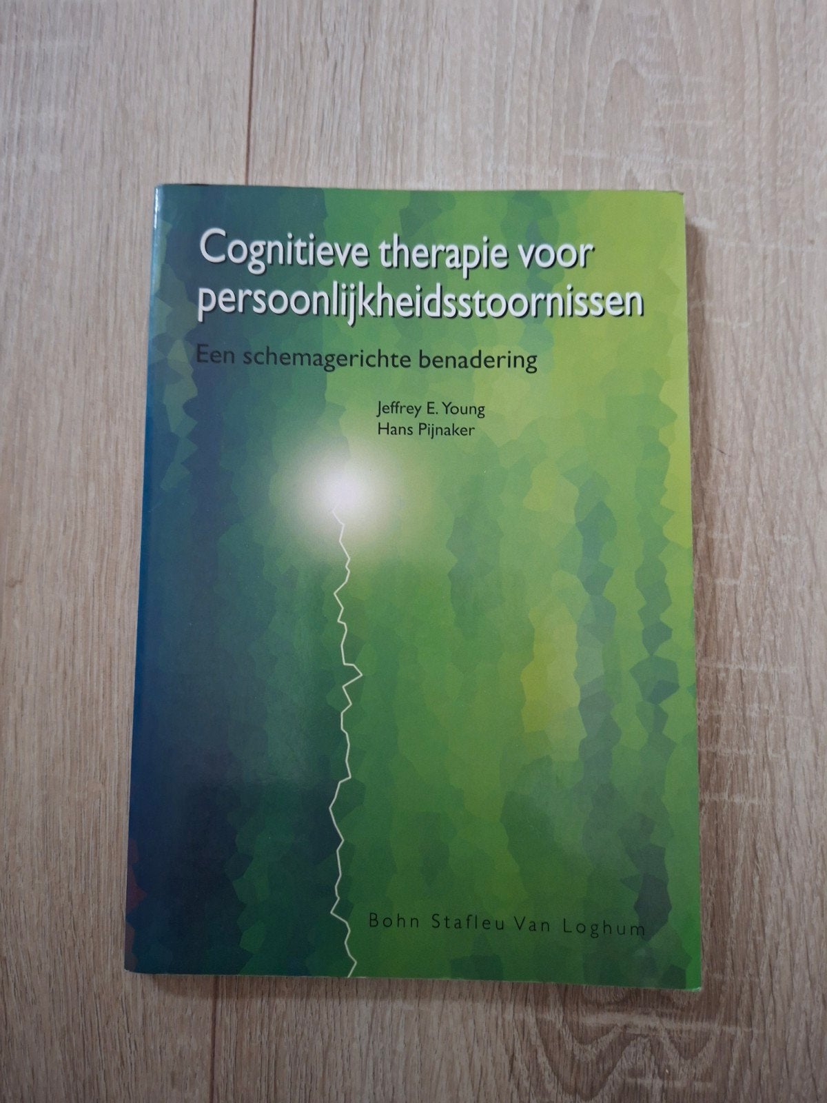 Cognitieve therapie voor persoonlijkheidsstoornissen, Boeken, Zo goed als nieuw, Gamma, Jeffrey E. Young, Hans Pijnaker, HBO