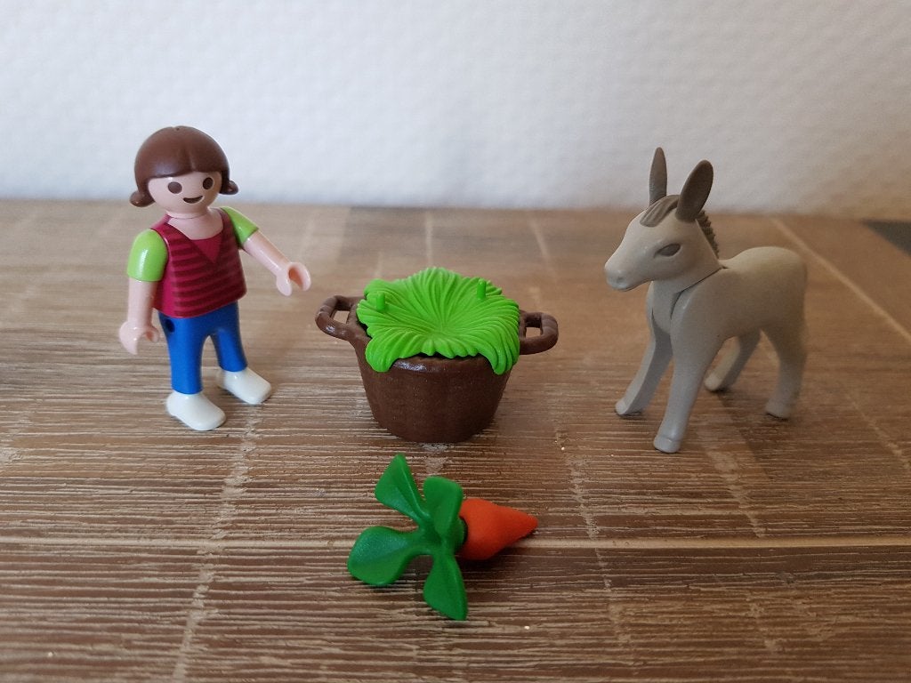 Playmobil 5488 meisje met ezel veulen en accessoires, Ophalen of Verzenden, Gebruikt