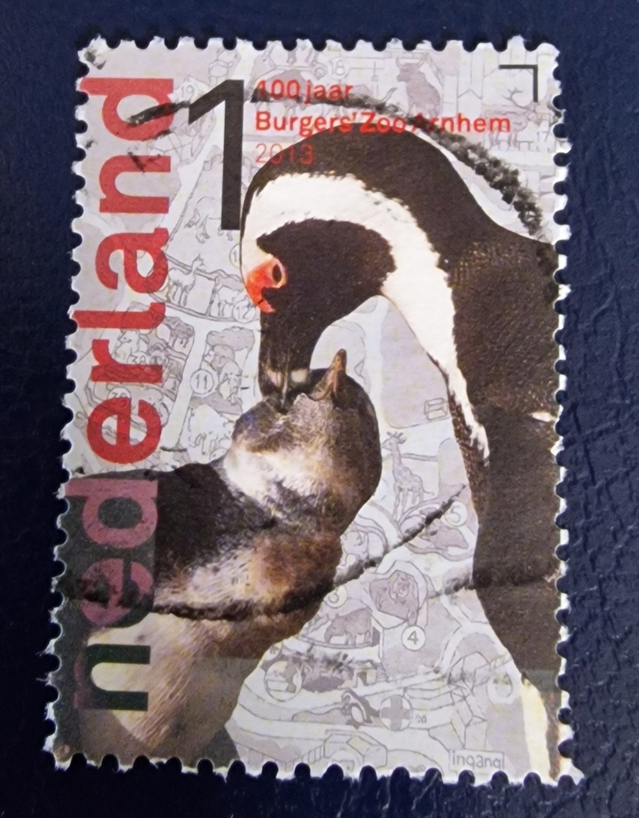 kv730 Postzegel Nederland 2013 - 400 jaar Burgers' Zoo Arnhe, Postzegels en Munten, Postzegels | Nederland, Ophalen of Verzenden
