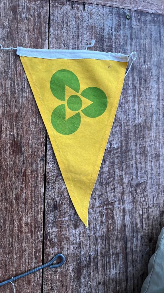 Erdman Schmidt tentvlag, Ophalen of Verzenden, Gebruikt