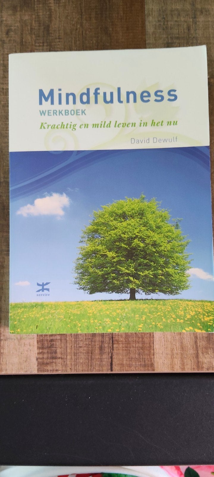 David Dewulf - Mindfulness werkboek, Ophalen of Verzenden, Gelezen, David Dewulf