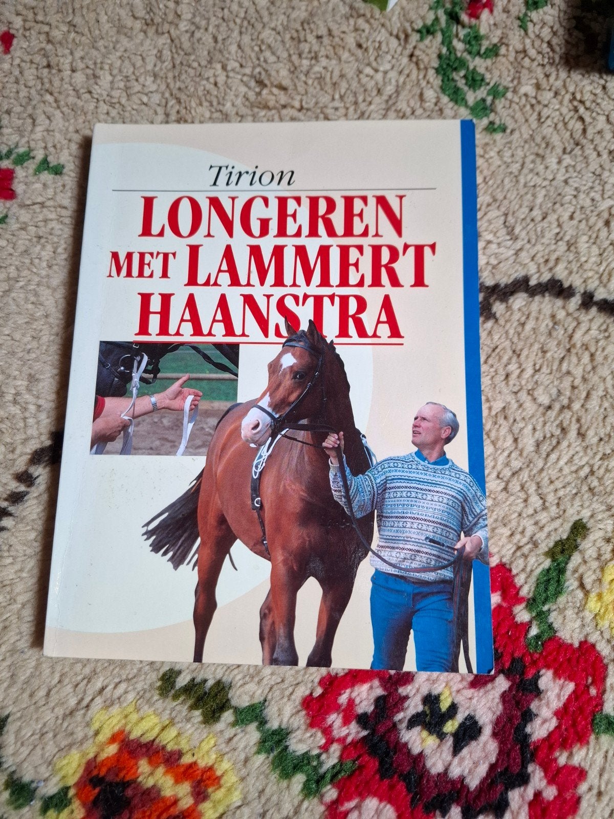 Longeren met Lammert Haanstra - Tirion, Ophalen of Verzenden, Gelezen, Lammert Haanstra