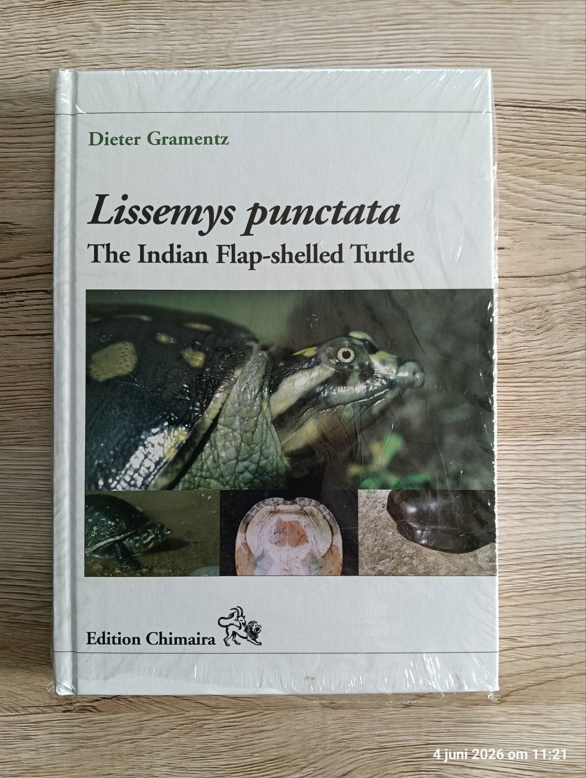 Lissemys punctata, the indian flap-shelled turtle, Ophalen of Verzenden, Nieuw, Reptielen of Amfibieën