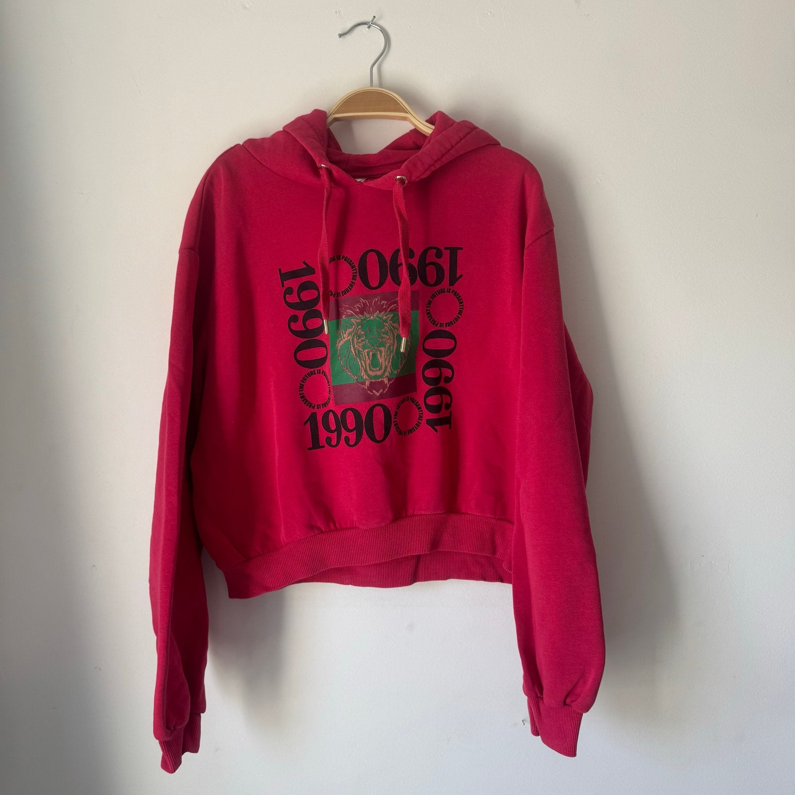 Rode H&M Divided hoodie met print maat M, Ophalen of Verzenden, Gedragen, Maat 38/40 (M), Rood