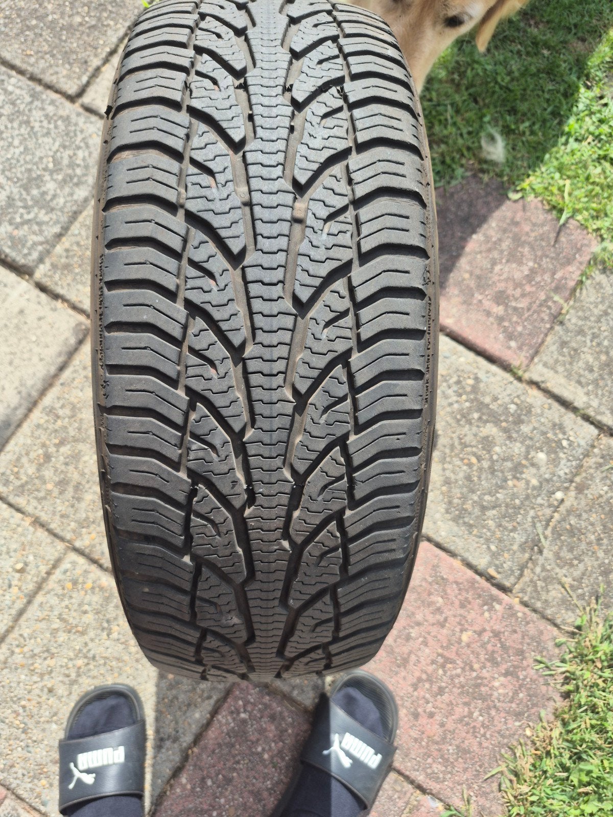Uniroyal AllSeasonExpert 2 All Season Banden 205/55 R16, Ophalen, Gebruikt, 16 inch, 205 mm
