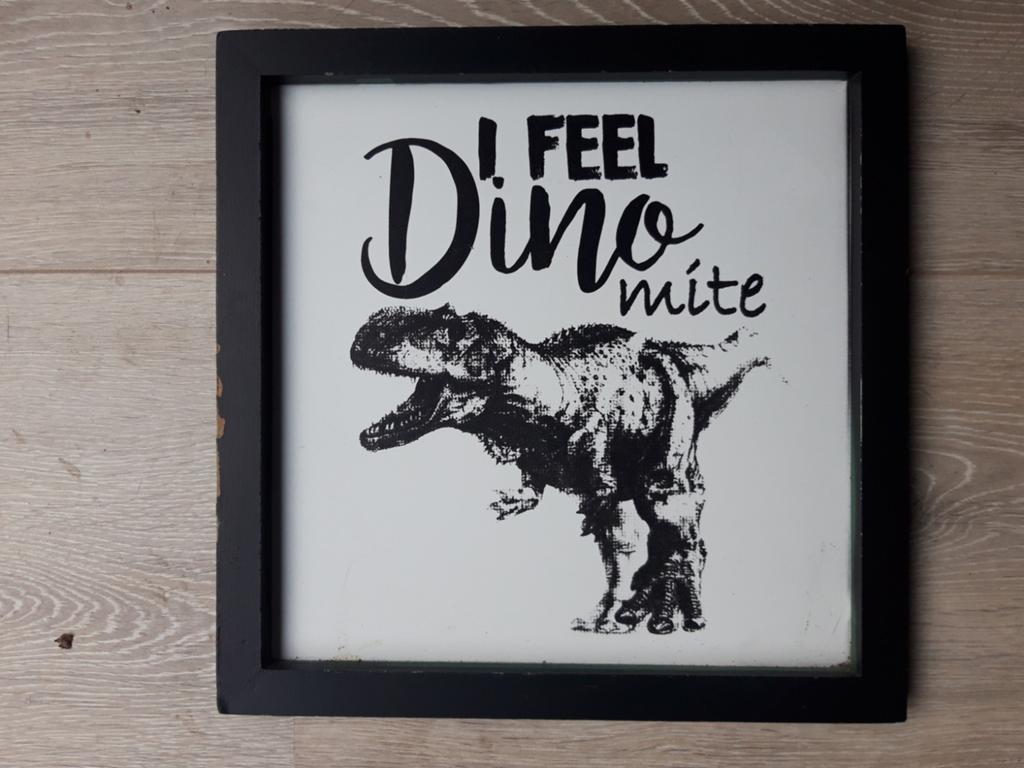 Leuke Dino Wanddecoratie, Gebruikt, Ophalen of Verzenden, Wandbord of Wandpaneel, Met ophangsysteem