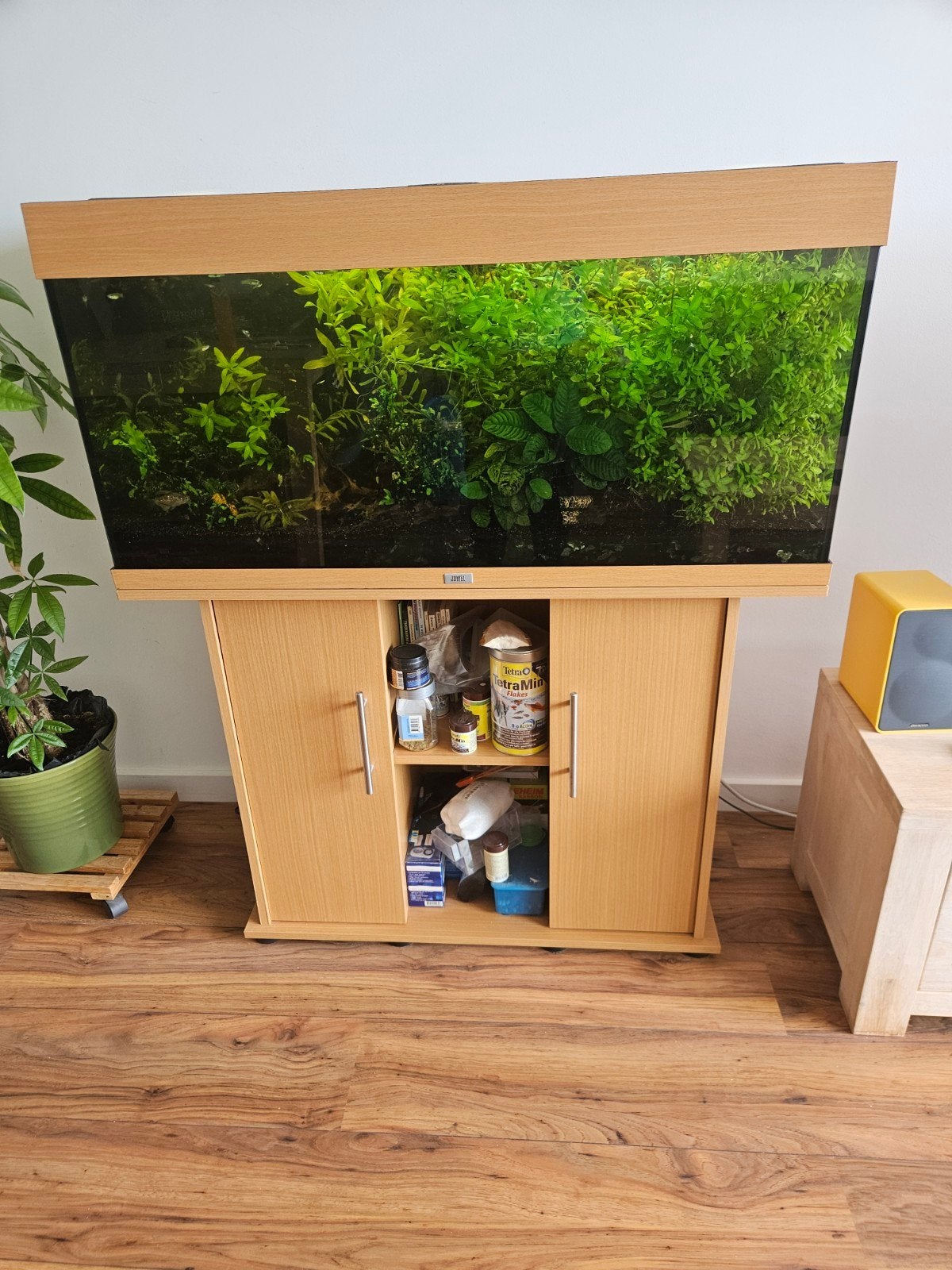 Juwel Rio 180, Dieren en Toebehoren, Ophalen, Gevuld zoetwateraquarium