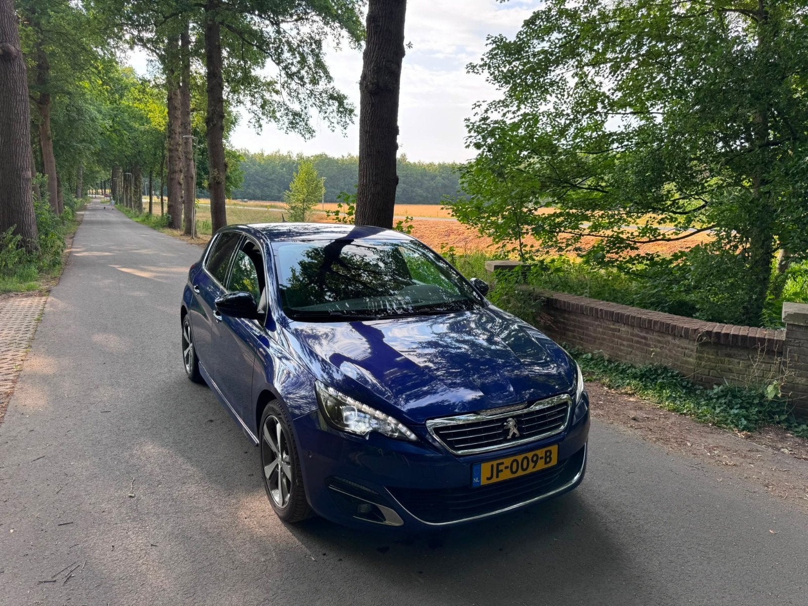 Peugeot 308 GT goed onderhouden, Auto's, Peugeot, Voorwielaandrijving, Achteruitrijcamera, Blauw, 49 €/maand