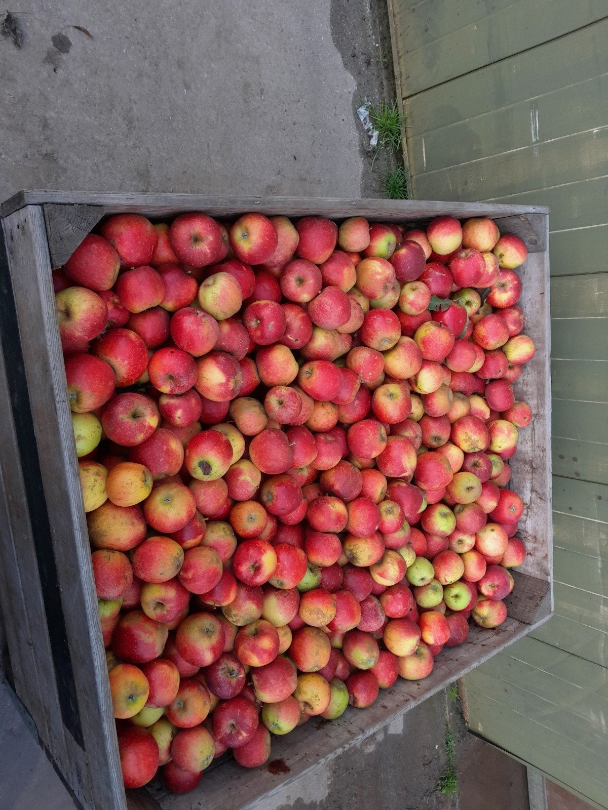 appels voor dieren