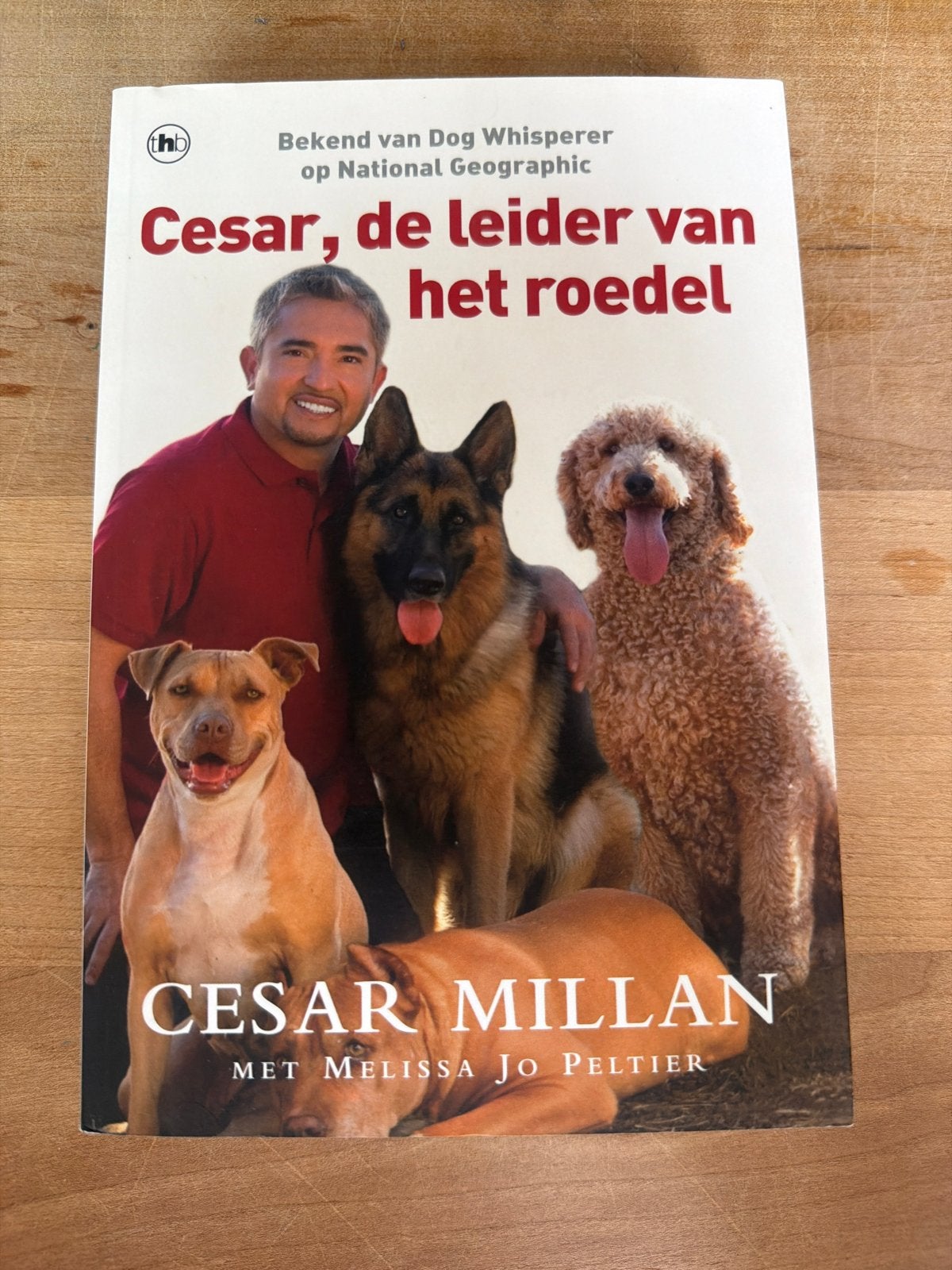 Cesar Millan: Cesar, de leider van het roedel - Hondenboek, Ophalen of Verzenden, Gelezen, Honden