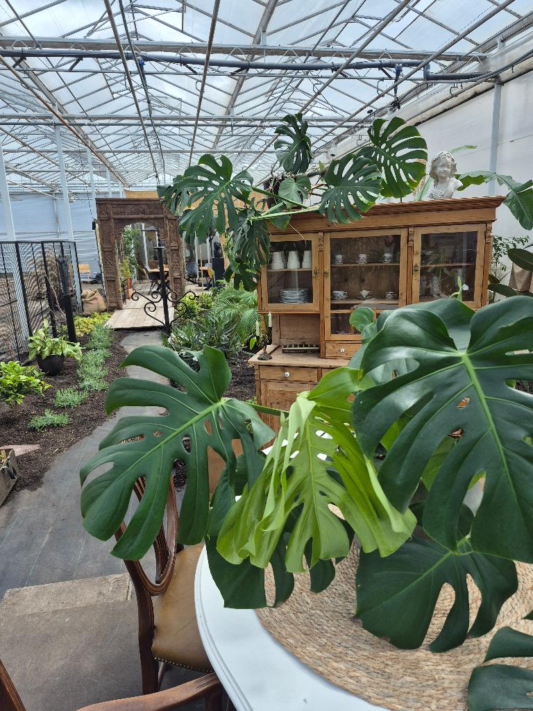 Voordelige vergaderruimte in Amsterdam 250 euro, Huur, Overige bestemmingen