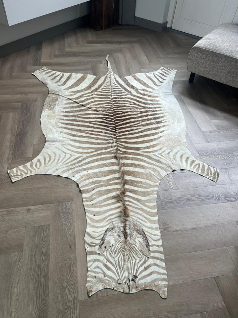 Burchell zebrahuid zebravel zebrakleed zebravacht zebra huid, 150 tot 200 cm, 200 cm of meer, Ophalen of Verzenden, Zo goed als nieuw