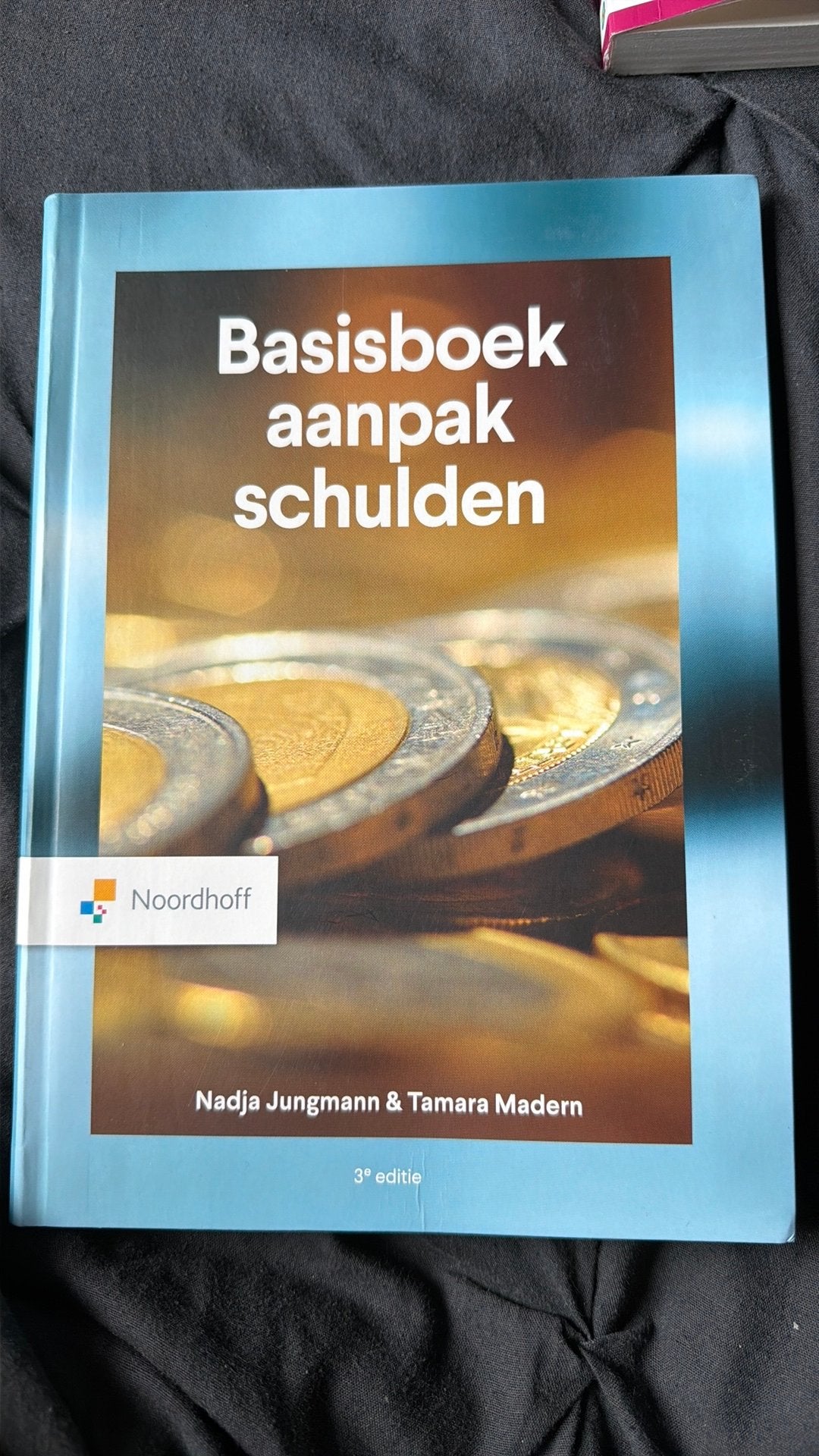 Tamara Madern - Basisboek aanpak schulden, Tamara Madern; Nadja Jungmann, Verzenden, Sociale wetenschap, Zo goed als nieuw