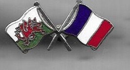 EMAILE VLAGGEN PIN GECOMBINEERD MET FRANSE VLAG, Ophalen of Verzenden, Nieuw, Overige onderwerpen, Speldje of Pin