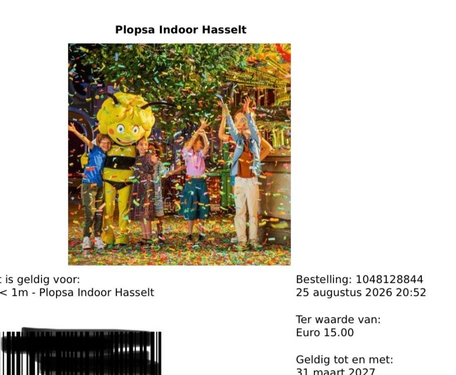 Plopsaland Hasselt ticket, Eén persoon, Ticket of Toegangskaart